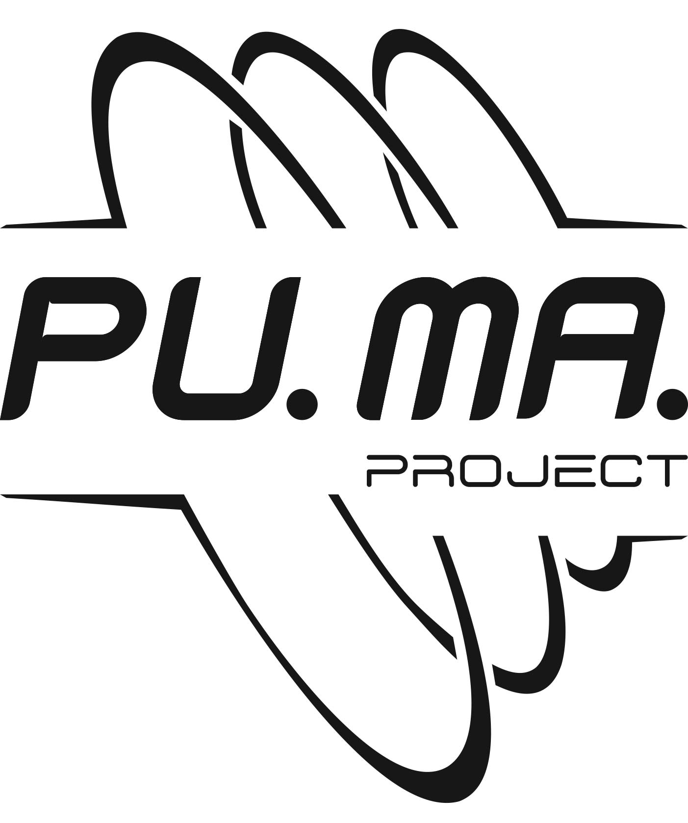 Logo Puma Project